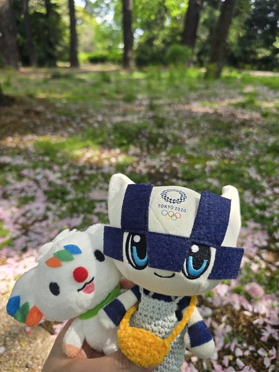 Nasu🐧🌞🐬 tweet media