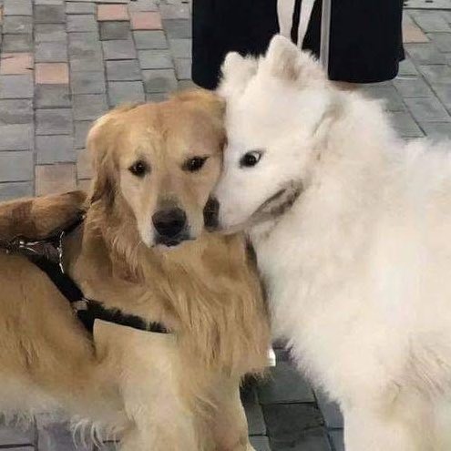 oct , firstfruit tweet media