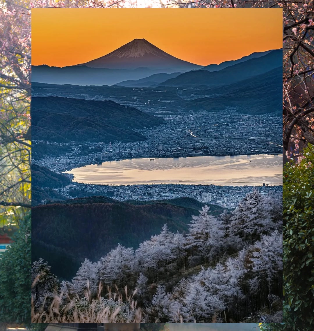 Michael Viswanathan tweet media