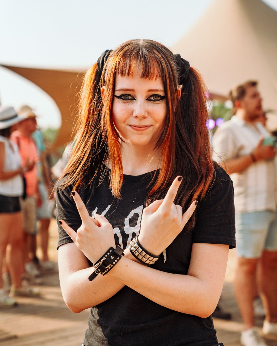 Pinkpop festival tweet media