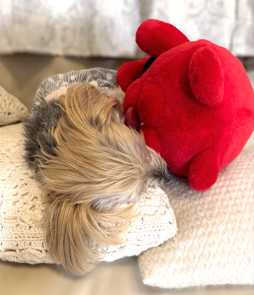 えん！ tweet media