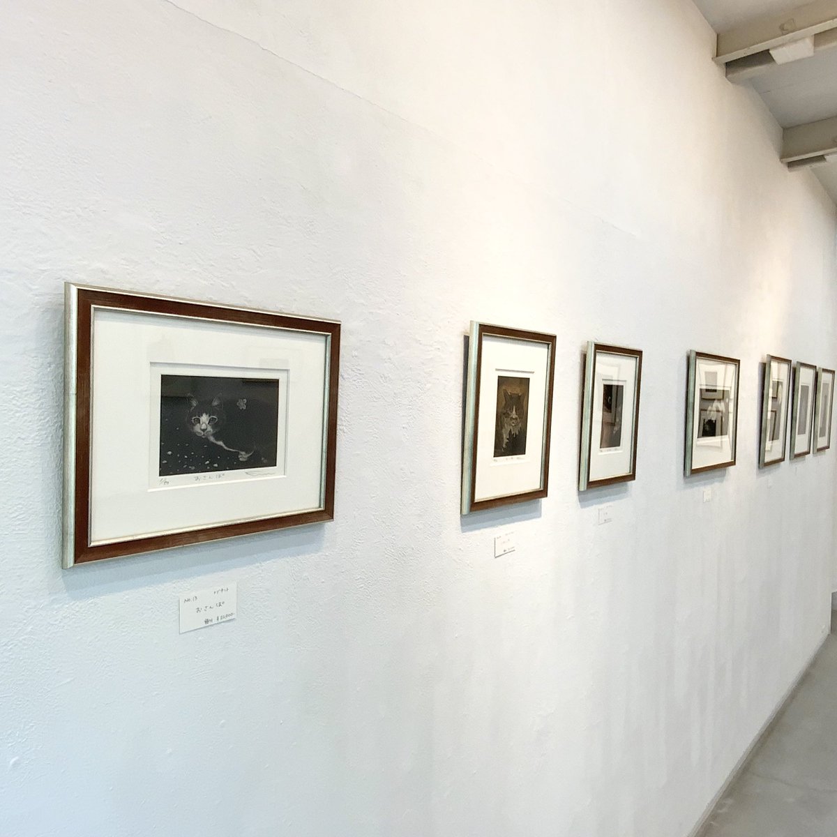 OPAgallery/shop tweet media