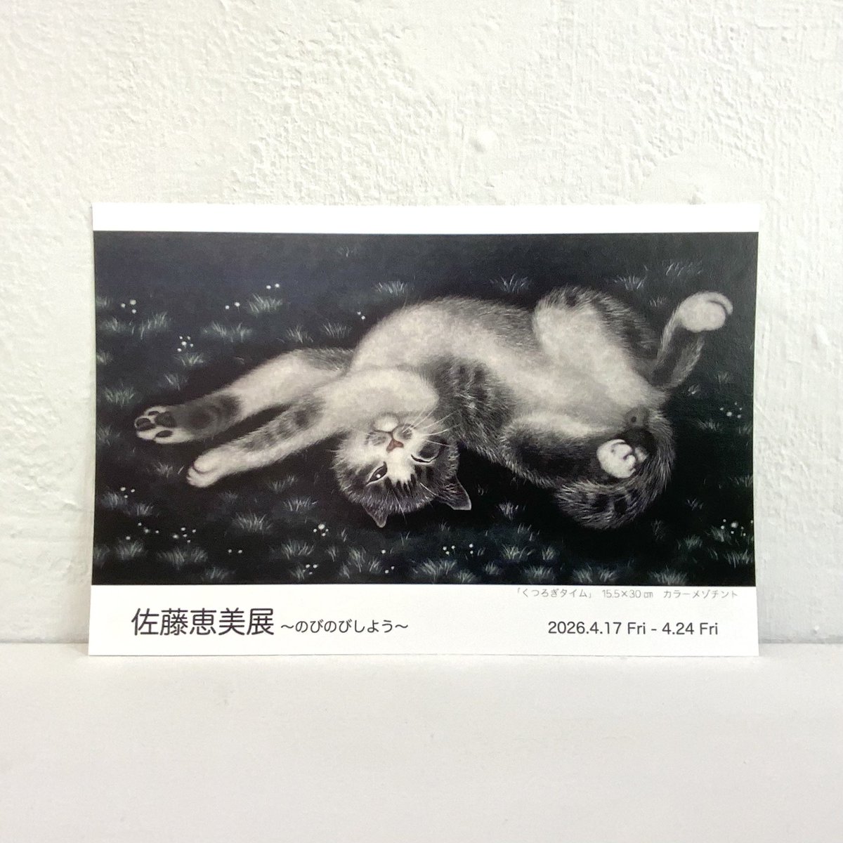 OPAgallery/shop tweet media