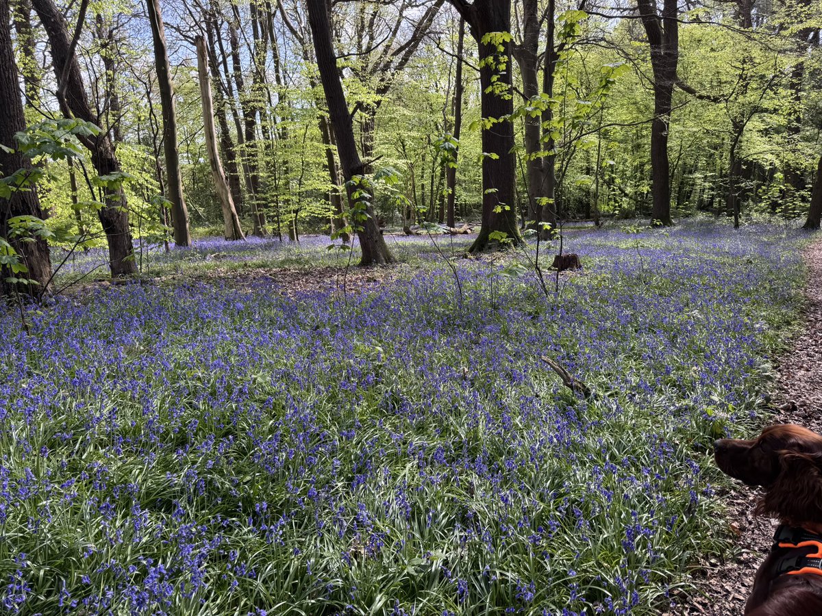 James Haddow tweet media