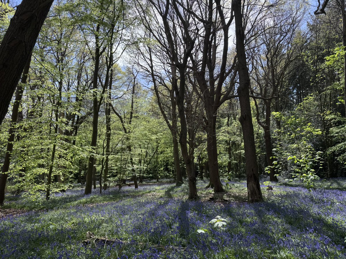 James Haddow tweet media