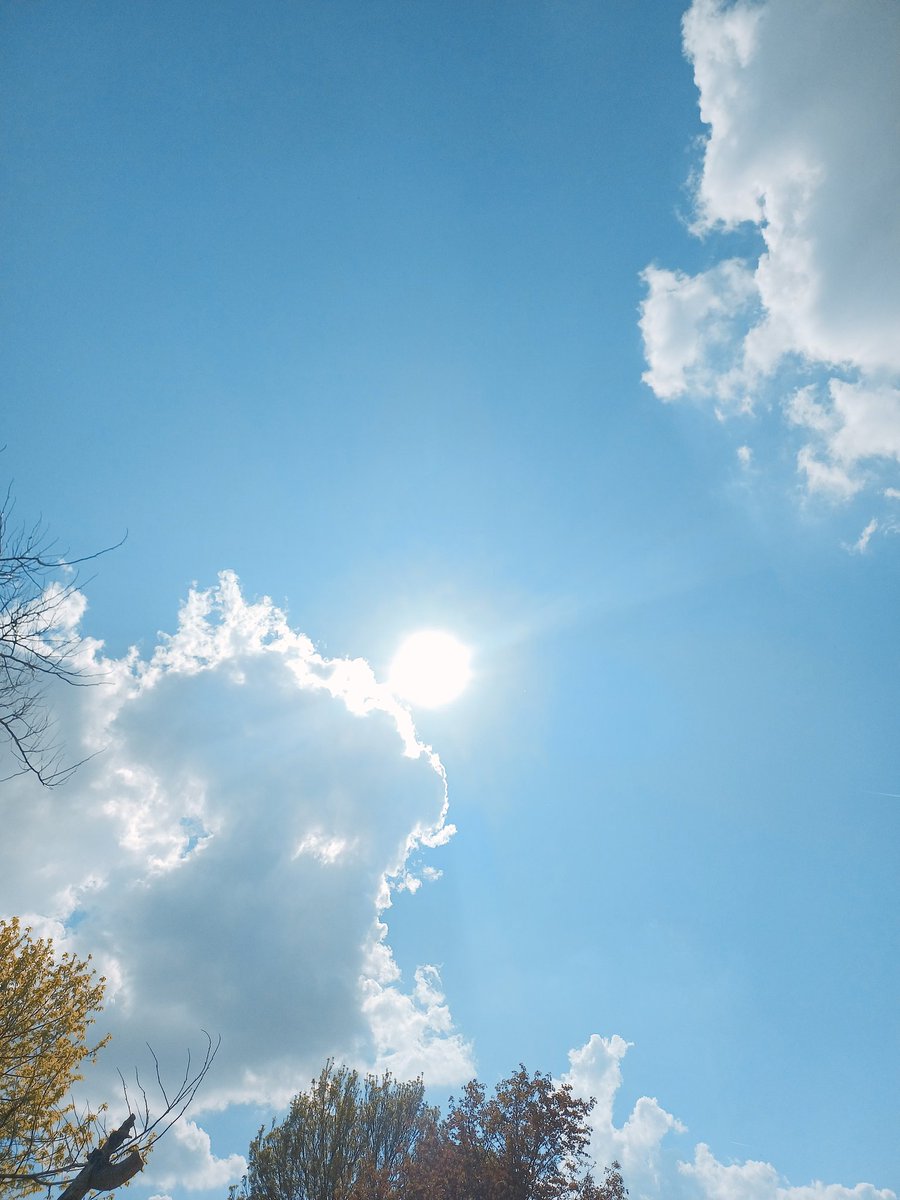 Alita 🫶 tweet media