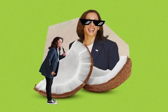 Dominic Box | J6 tweet media