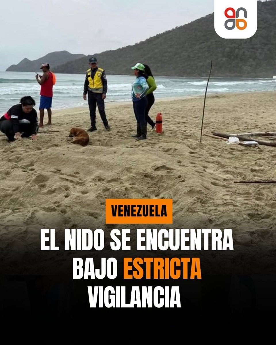 ela ferris tweet media