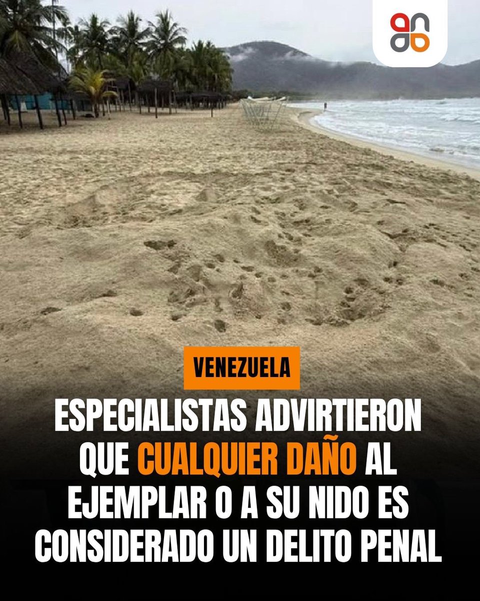 ela ferris tweet media