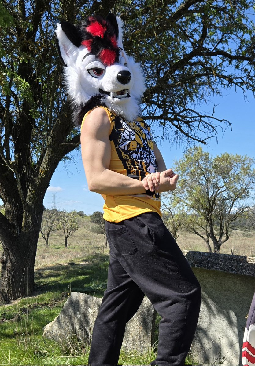 Denyern 狼 🐺 🔜 Ibercon tweet media