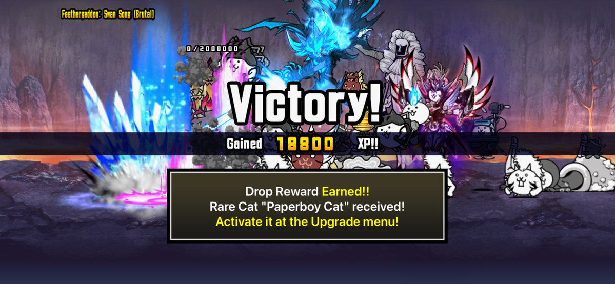 CCE | Ramen Cat:3 🇲🇽🇺🇸 tweet media