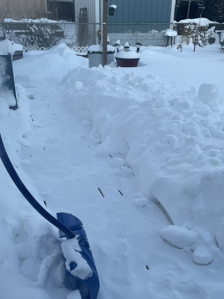 Albertagirl62 tweet media