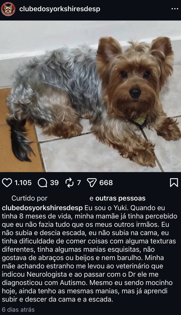 lovingceci's tweet photo. @ziggyrim tem cachorro que tem autismo também, sejamos mais mente aberta #forapreconceito https://t.co/q9wuIJkOB7