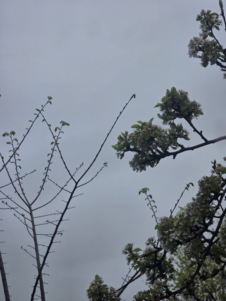 em 🦢۶۟ৎ⋆. ݁ tweet media