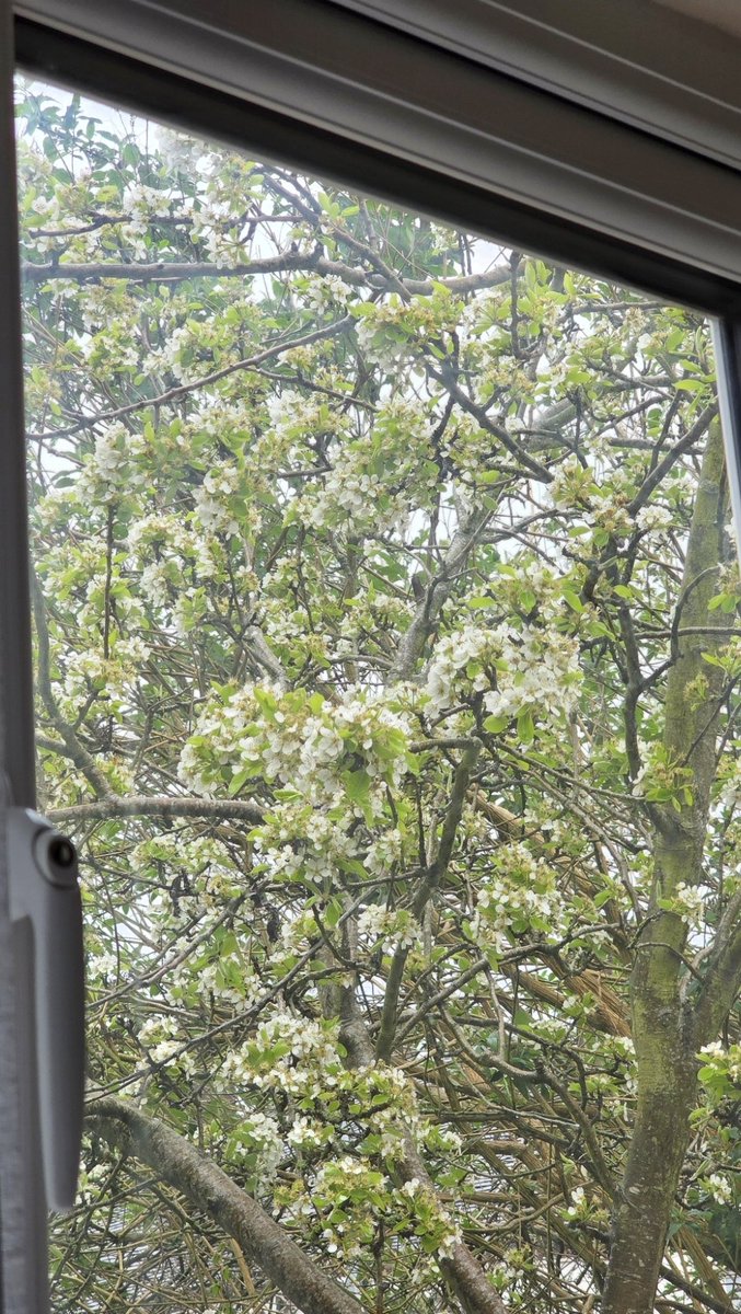 em 🦢۶۟ৎ⋆. ݁ tweet media