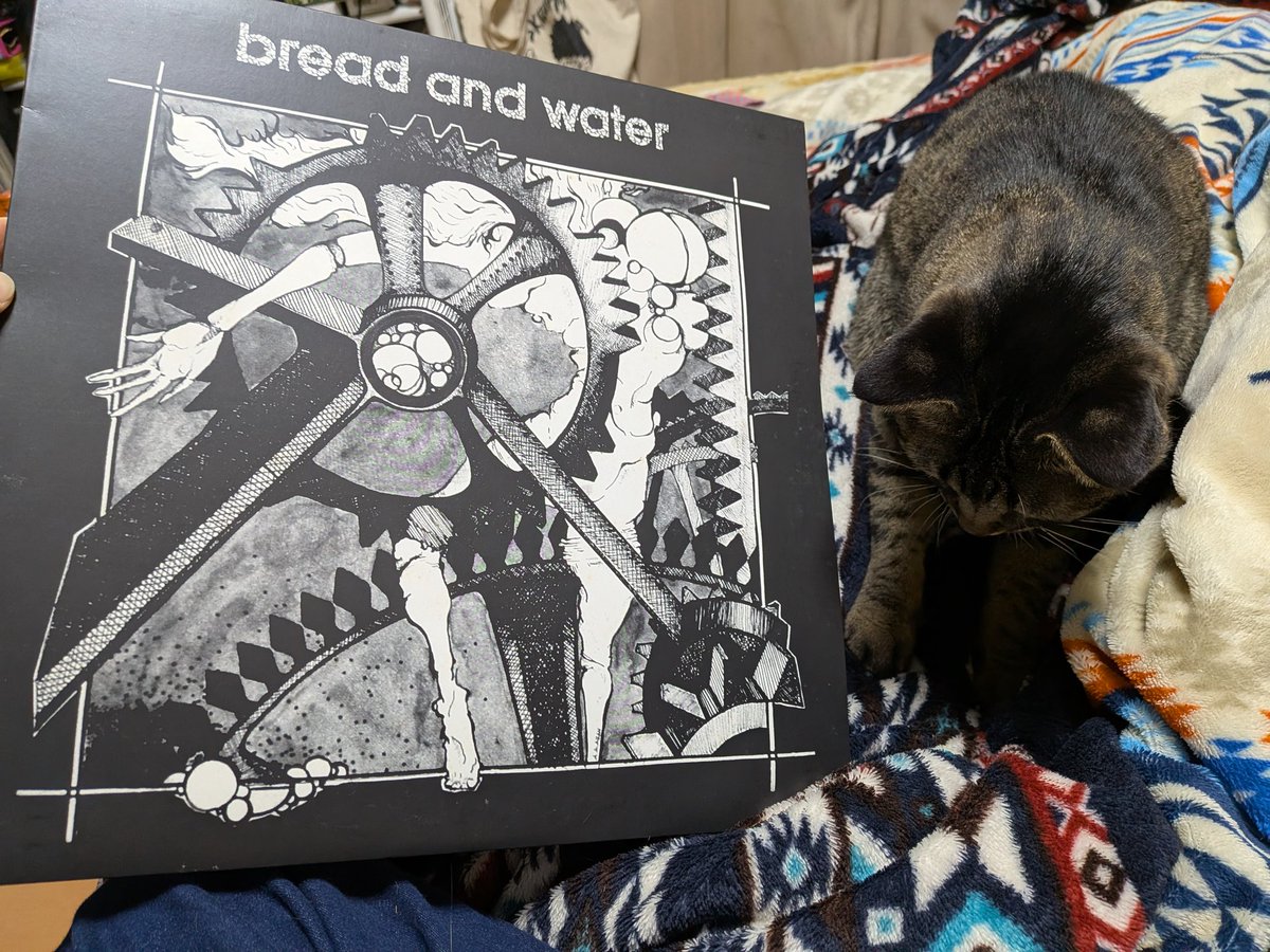 ふみふみ中のぶいちゃんと今夜のレコード🌠
bread and waterもわたしの好きの
ど真ん中でから🥹💕
やっぱしあたしもまたHARDCORE PUNKやりたくなってくるやつ🤔