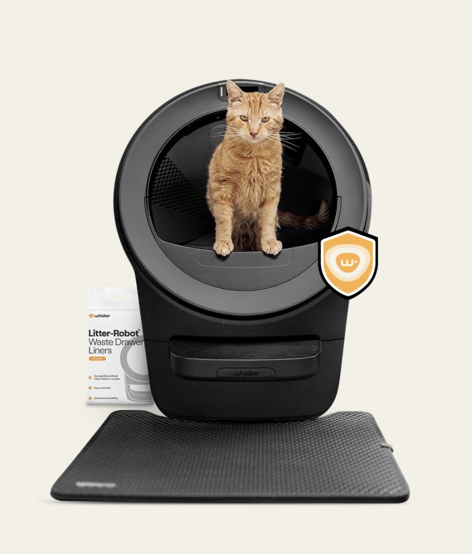 Pardon My Mess tweet media