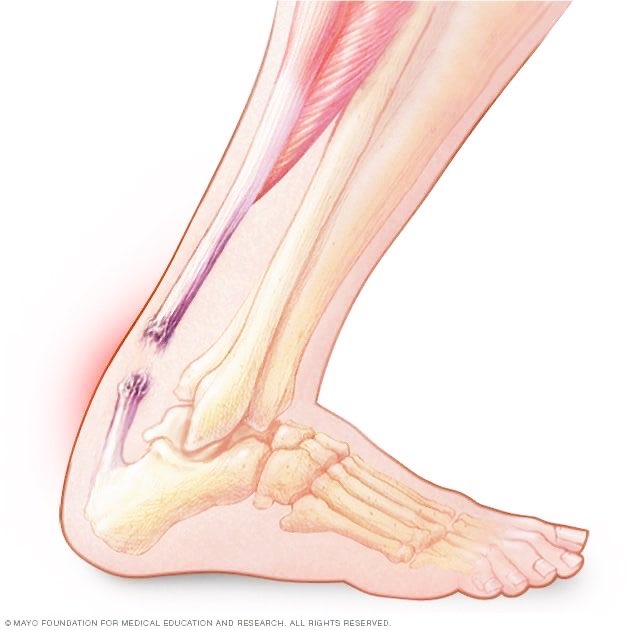 Alfred 🏄🏻‍♀️🌊 tweet media