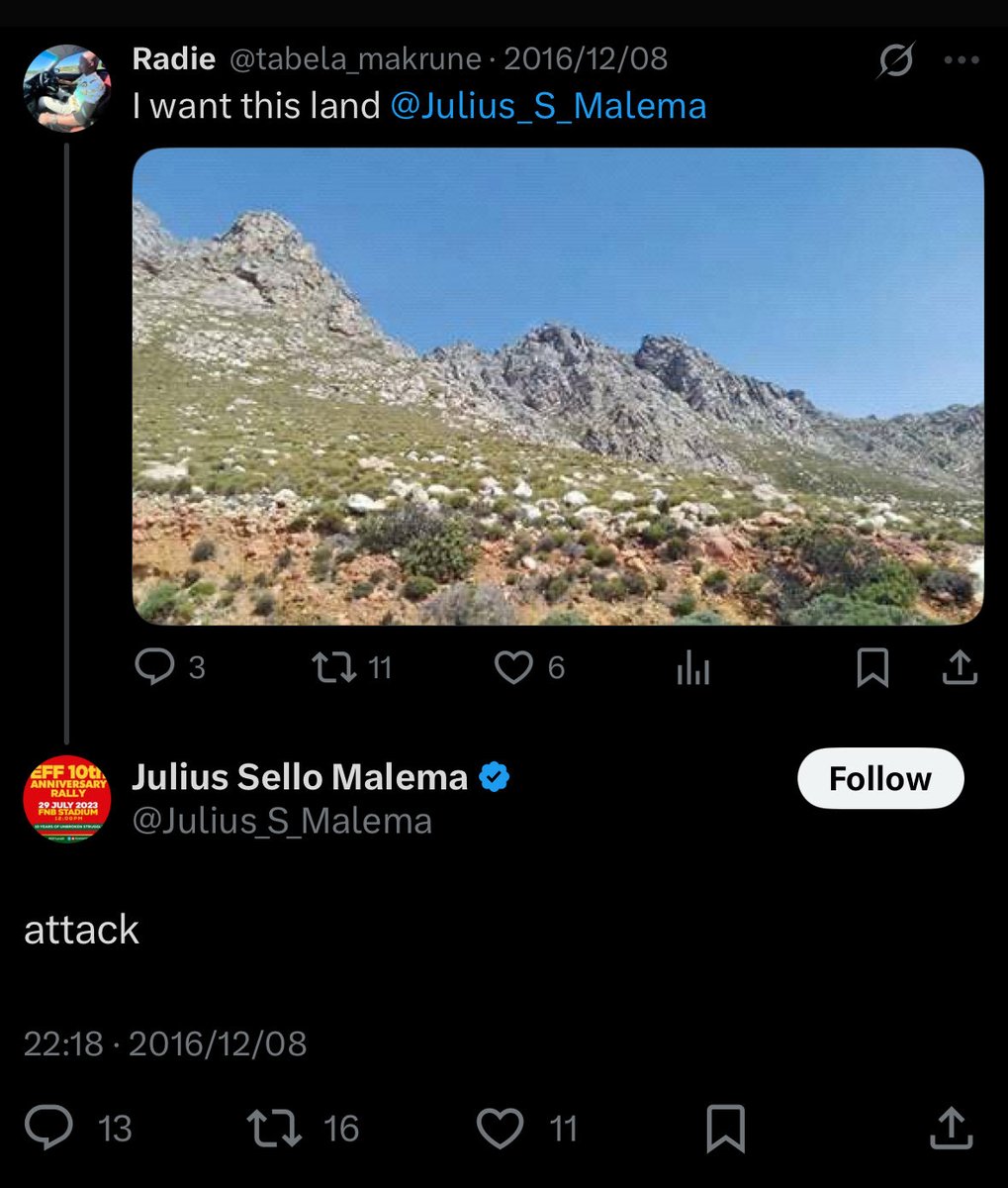 Alice VL tweet media