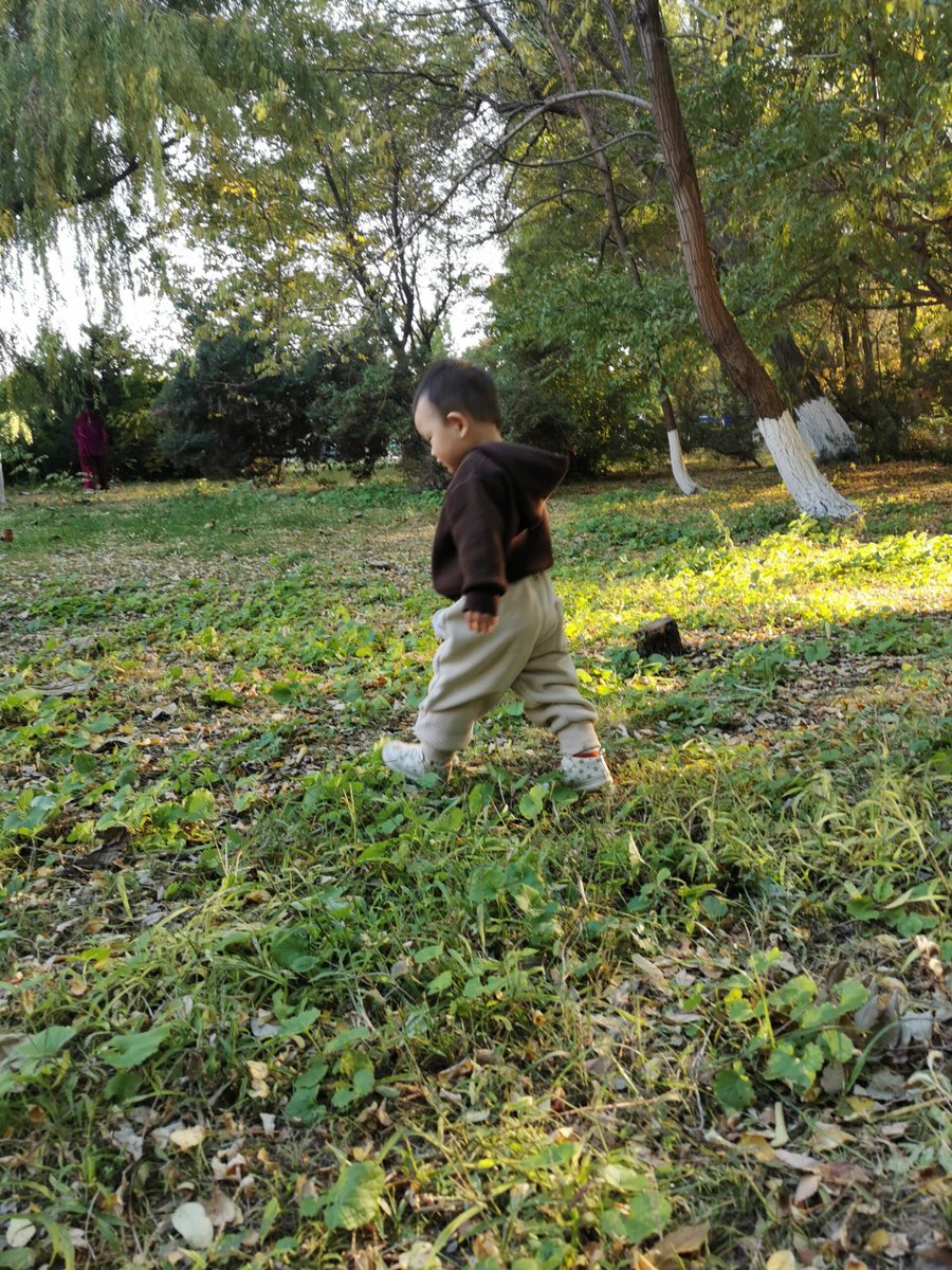 Olga Nikolaeva tweet media