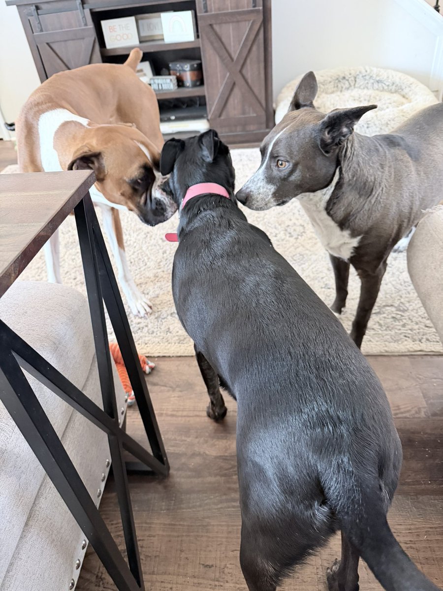 SamIAm🌻 tweet media