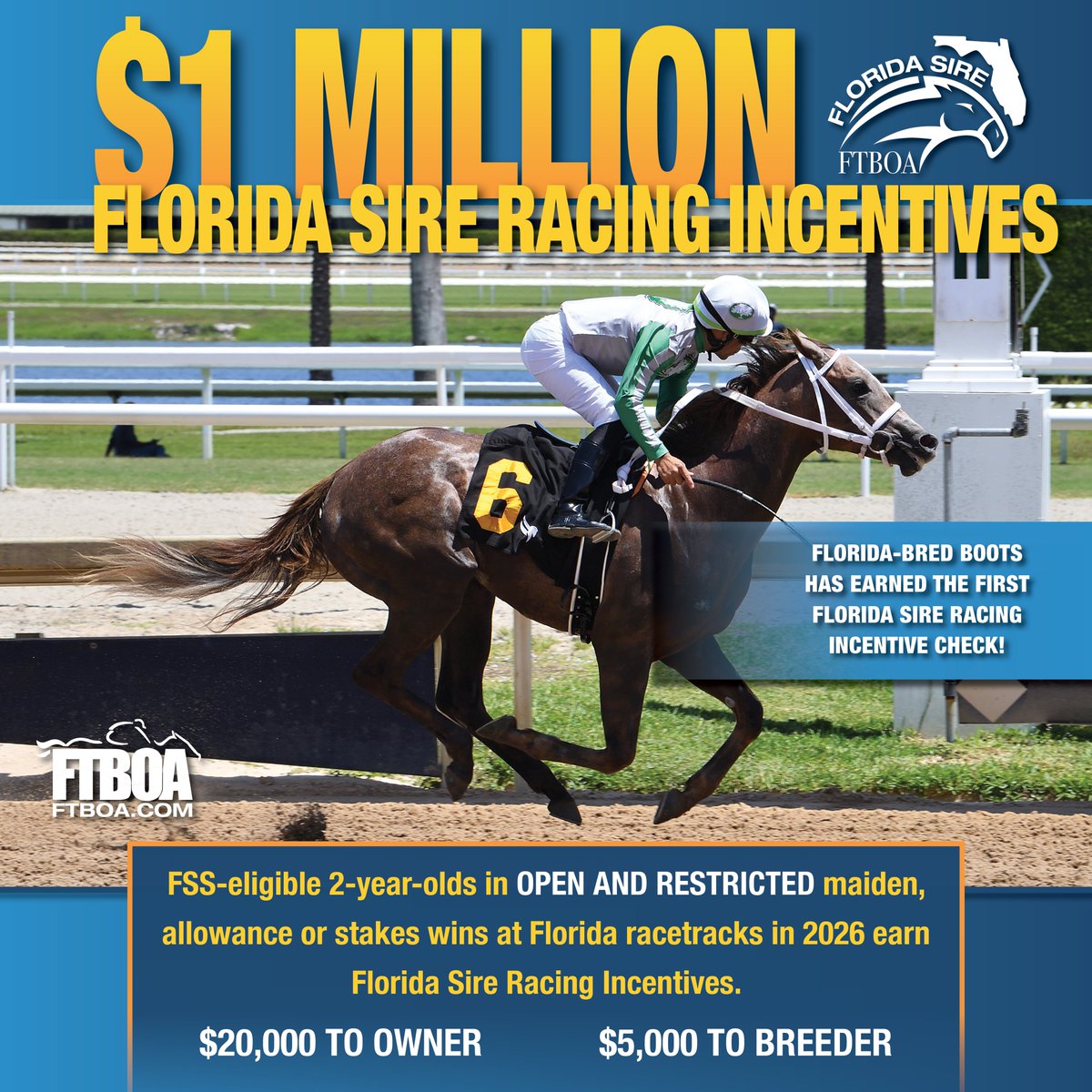 florida_horse's tweet photo. Yesterday @ArindelFarm homebred #FloridaBred Boots took home the first Florida Sire Racing Incentive Check during her maiden win at GP! 🏇 🎉 🏆 💰

FSS-eligible 2-year-olds in OPEN AND RESTRICTED maiden, allowance or stakes wins at Florida racetracks in 2026 earn Florida Sire Racing Incentives! $20,000 go to the winning Owner, and $5,000 goes to the Breeder 🎉 Congratulations to Boots and all connections on their win! 🎉

Click this link: https://t.co/KPMhZfv8cW for details, and to confirm your horses' eligibility.

#FloridaSireRacingIncentives #HorseRacing #FloridaHorse @SamyCamacho1 @RacingDelgado @BrianArindel