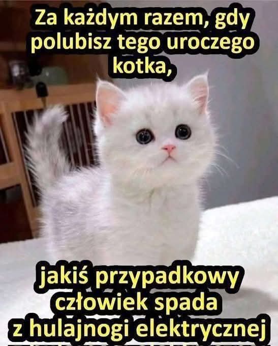 Płonąca Firanka tweet media