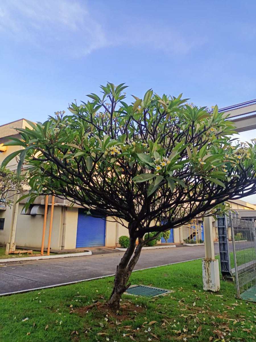 D-WHEREEE tweet media