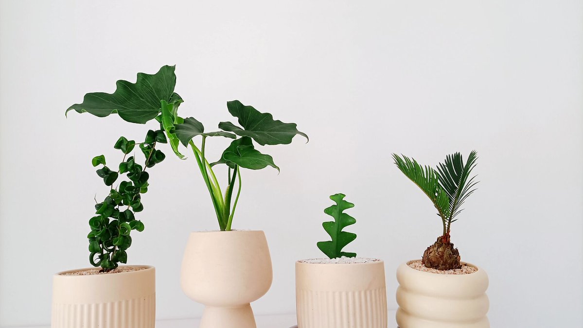 山田太郎 tweet media