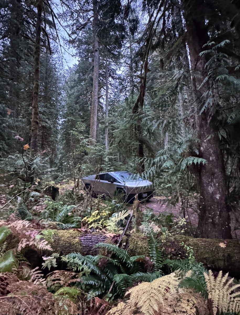 Cybertruckmama tweet media