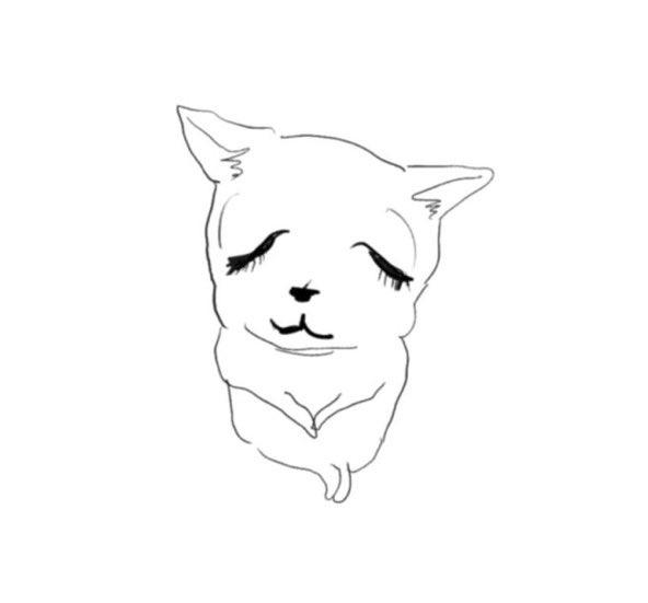 호날두 tweet media