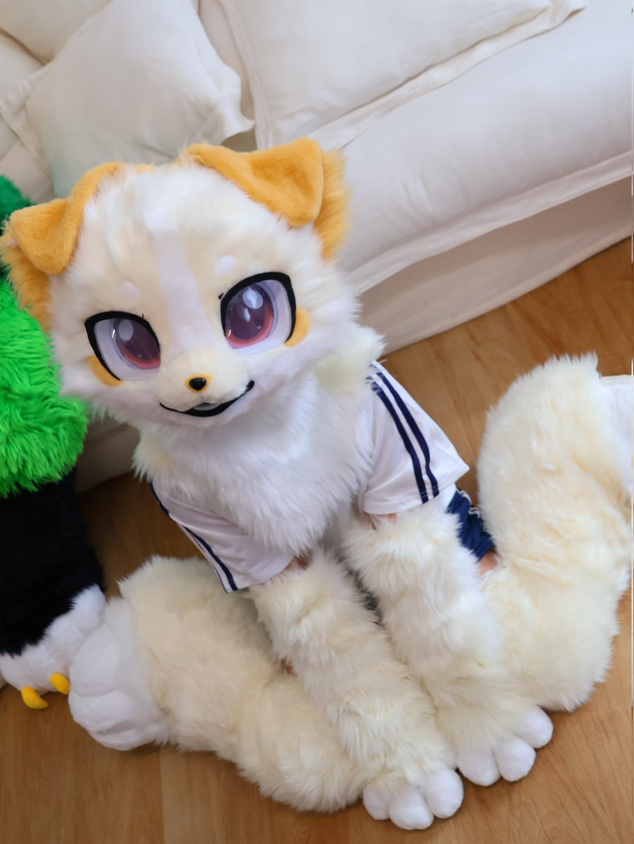 (๑• ω •๑)
#fursuit #FursuitFriday #FursuitEveryday
