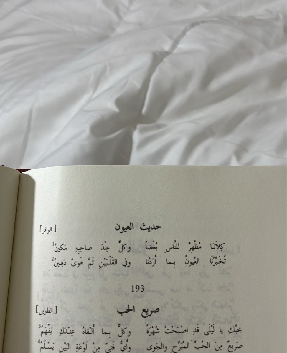 يوسفي 🍊 tweet media