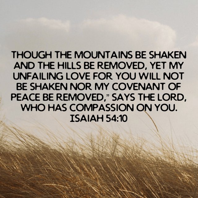 Tammy 🇧🇧🇨🇦 (@tammytdeane) on Twitter photo 