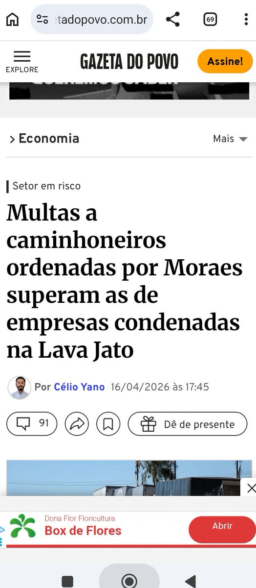 Paula Schmitt tweet media