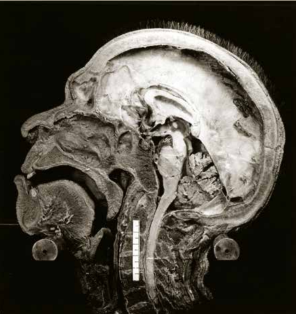 Biblioteca Nacional tweet media