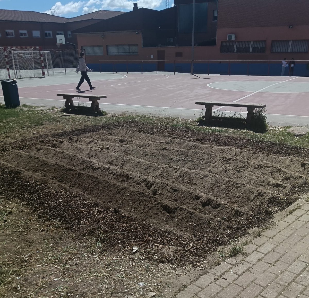 Miguel F. Sánchez tweet media