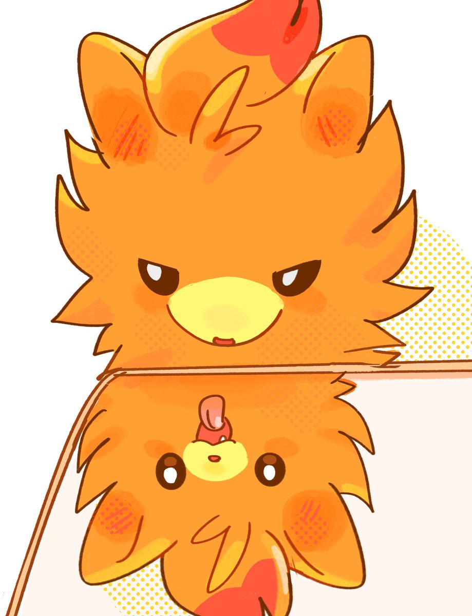 세쾅이 / セクァンイ tweet media