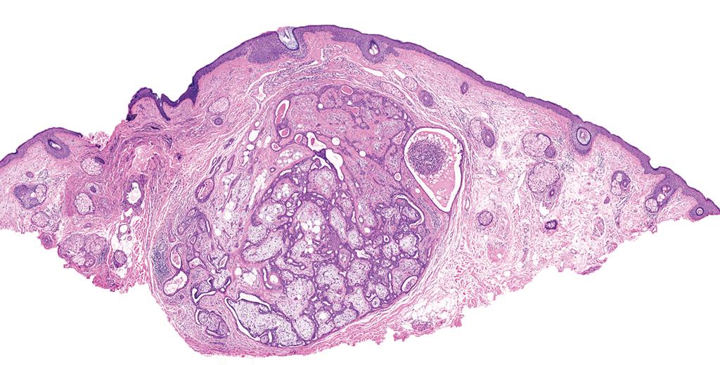 Charlie Herndon tweet media