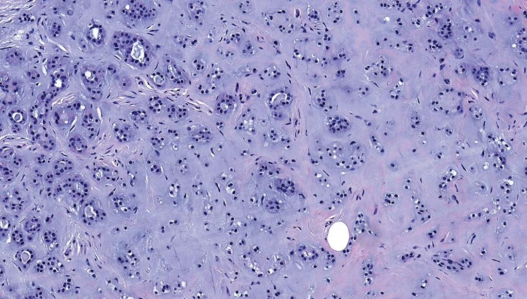 Charlie Herndon tweet media