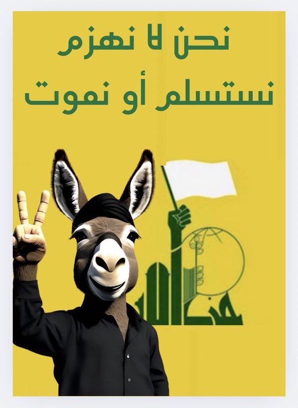 🅿🅰🅽🅰🅳🅾🅻 tweet media