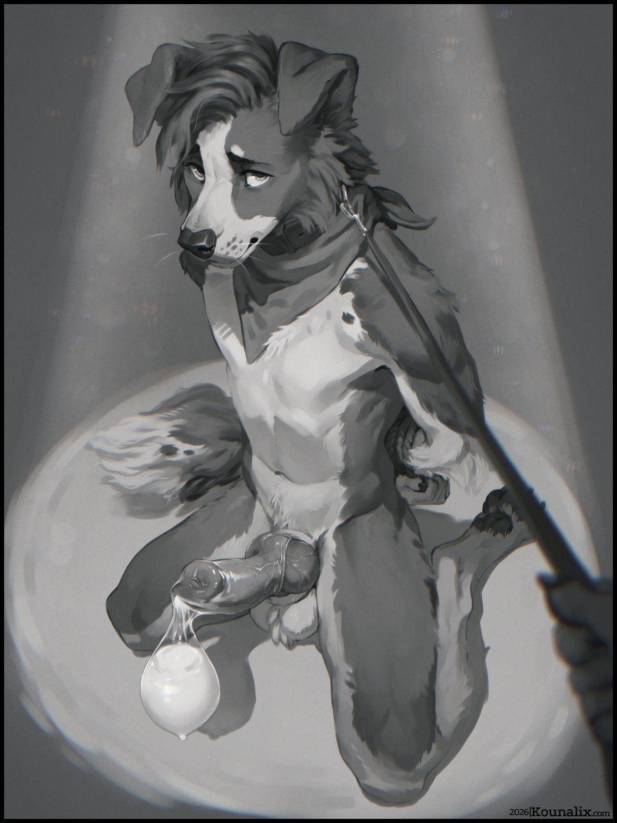 Kounalix 🐦 tweet media