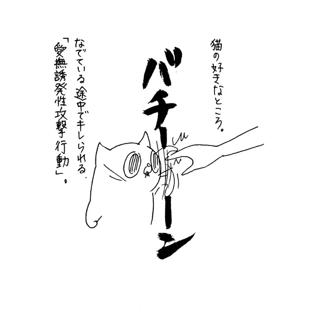 猫の好きなところ 