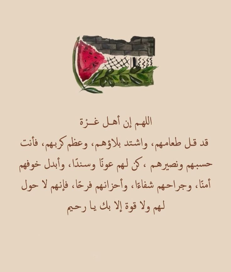 اجُر🫀. tweet media
