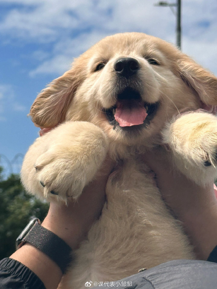 Fayez K_1 tweet media