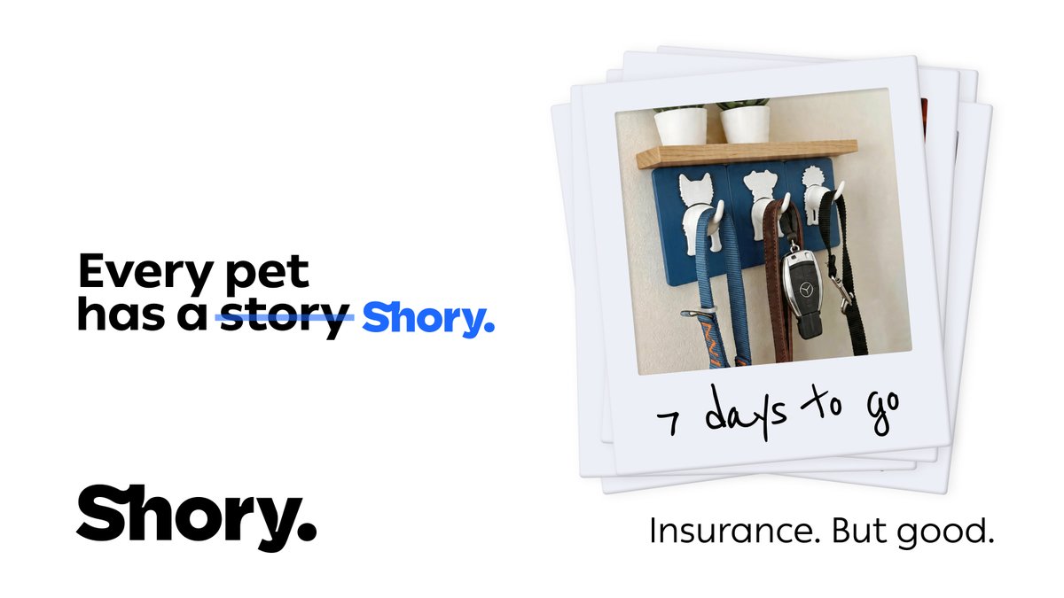 Shory Insurance 🇦🇪 tweet media