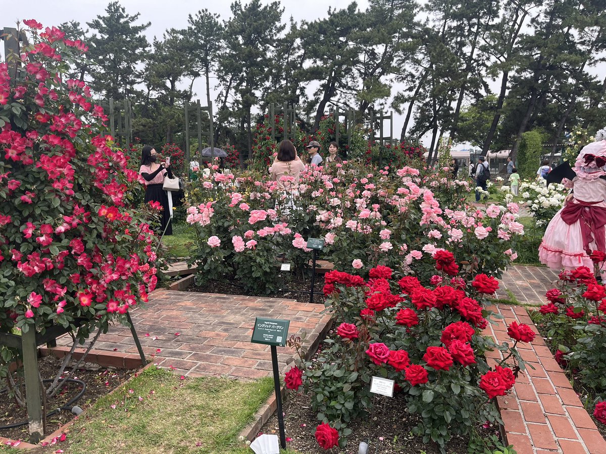 まなてぃ tweet media