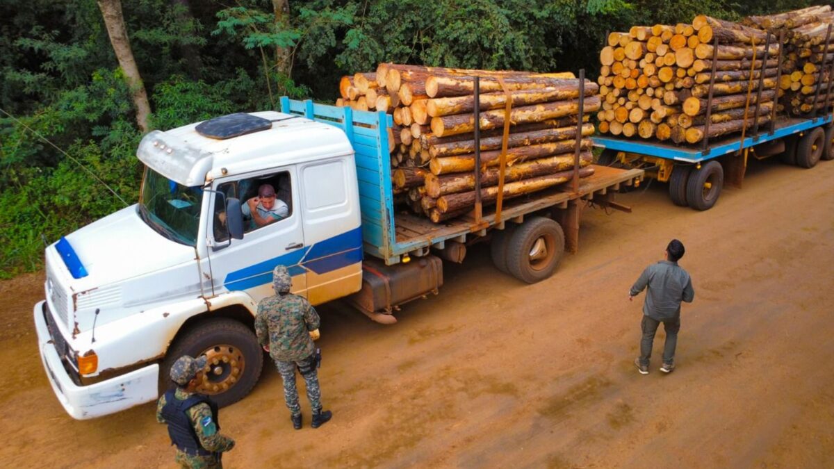 Programa JNR Misiones tweet media