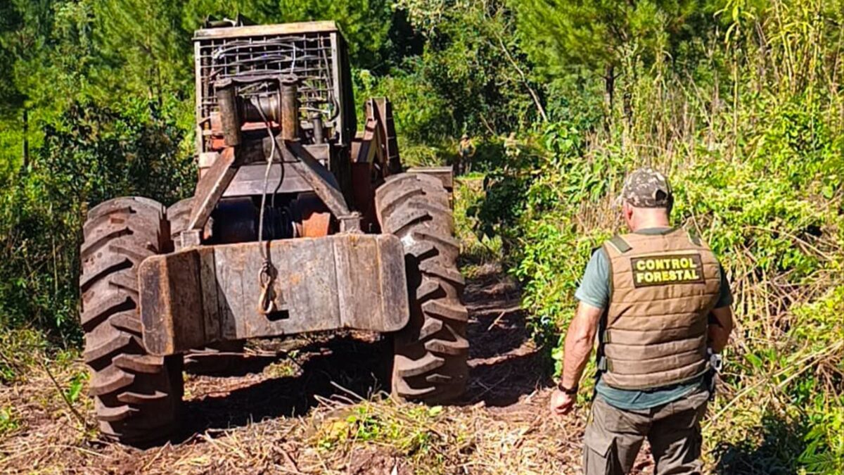 Programa JNR Misiones tweet media