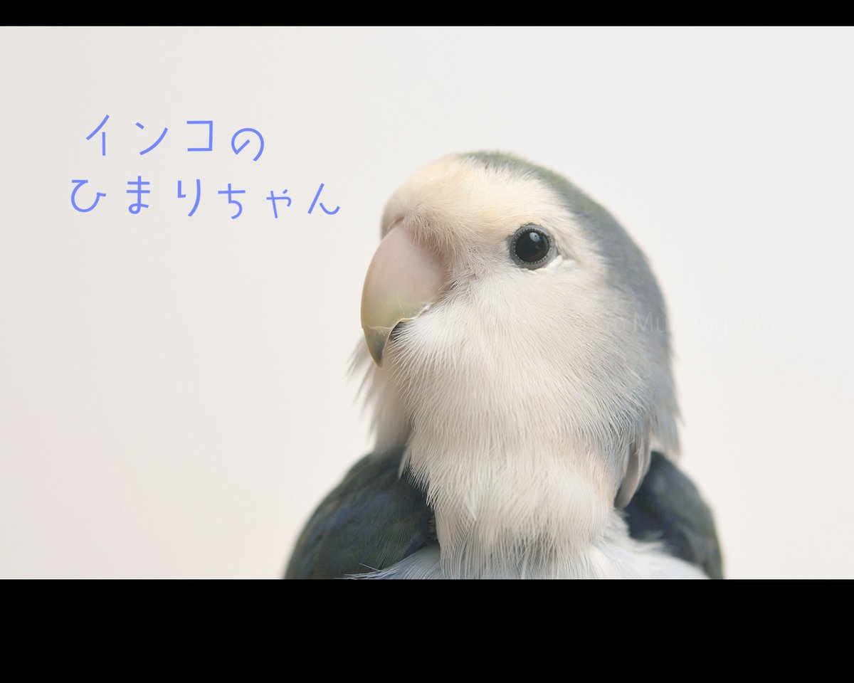 らくちゃんノート